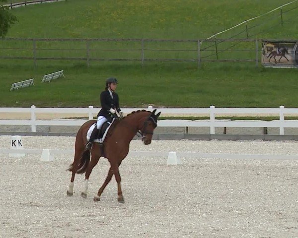 Reitturnier Gut Bohmerhof-Wackersberg/Obb. 2024