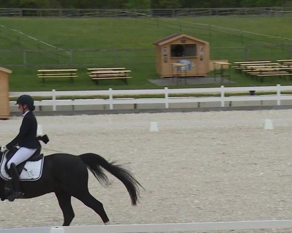 Reitturnier Gut Bohmerhof-Wackersberg/Obb. 2024