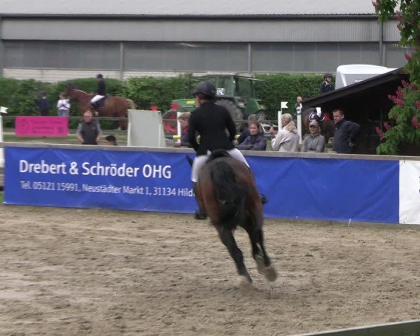 Reitturnier Hildesheim-Steuerwald 2024