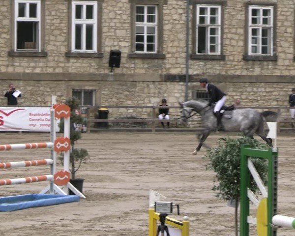 Reitturnier Hildesheim-Steuerwald 2024