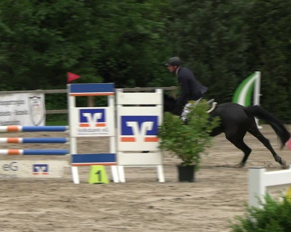 Reitturnier Hildesheim-Steuerwald 2024
