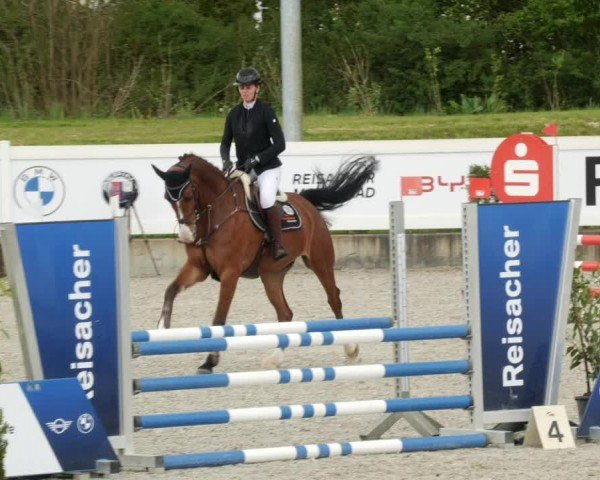 Reitturnier Babenhausen/Schw. 2024