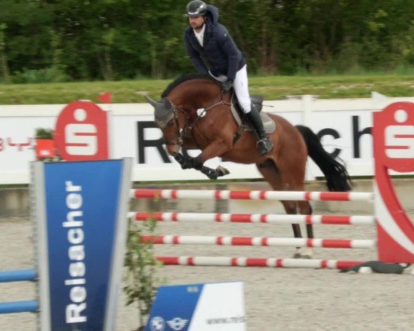 Reitturnier Babenhausen/Schw. 2024