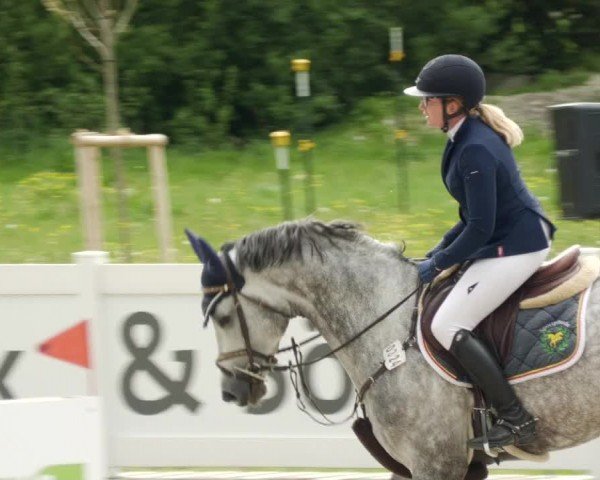 Reitturnier Babenhausen/Schw. 2024