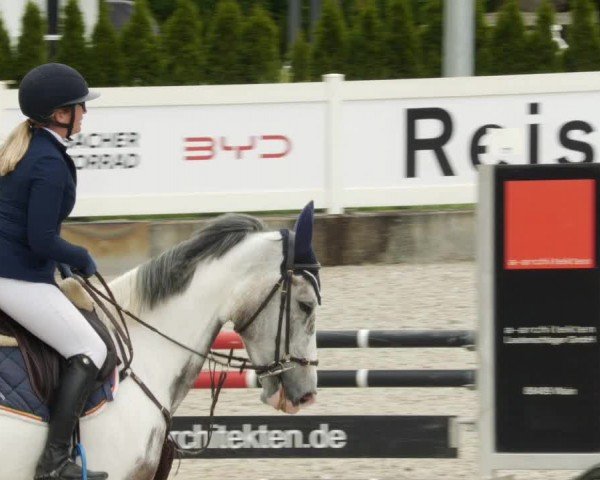 Reitturnier Babenhausen/Schw. 2024