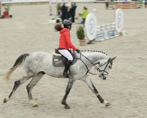 Reitturnier Babenhausen/Schw. 2024