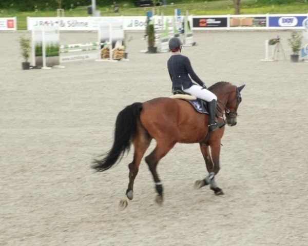 Reitturnier Babenhausen/Schw. 2024