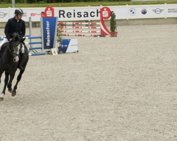 Reitturnier Babenhausen/Schw. 2024