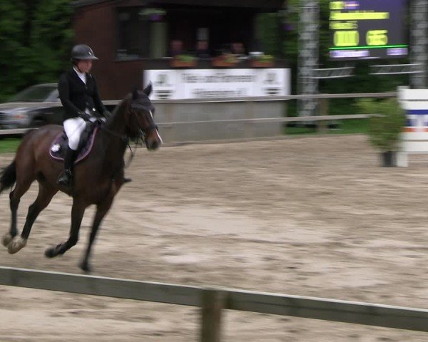 Reitturnier Hildesheim-Steuerwald 2024