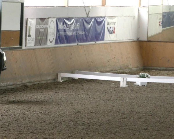 Reitturnier Hildesheim-Steuerwald 2024