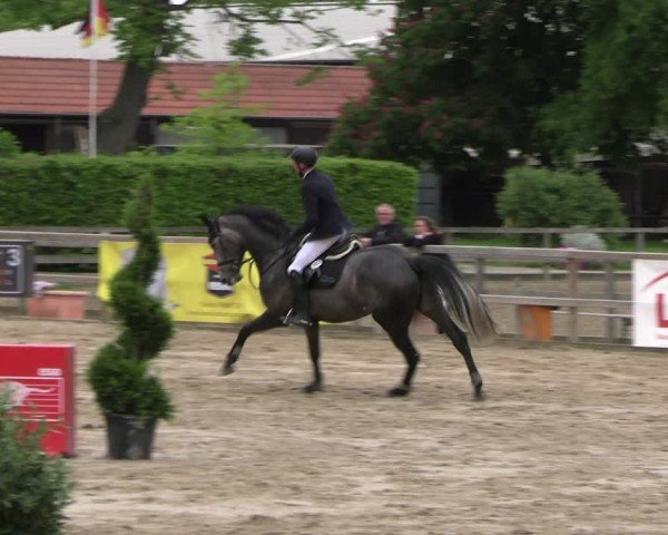 Reitturnier Hildesheim-Steuerwald 2024