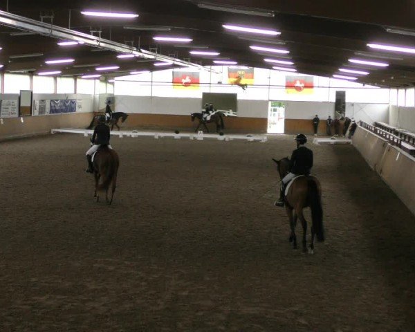 Reitturnier Hildesheim-Steuerwald 2024