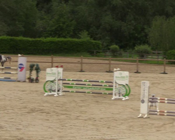 Reitturnier Kamen 2024