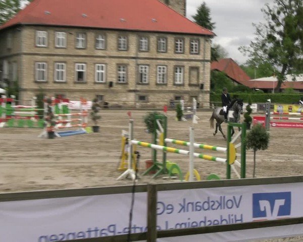 Reitturnier Hildesheim-Steuerwald 2024