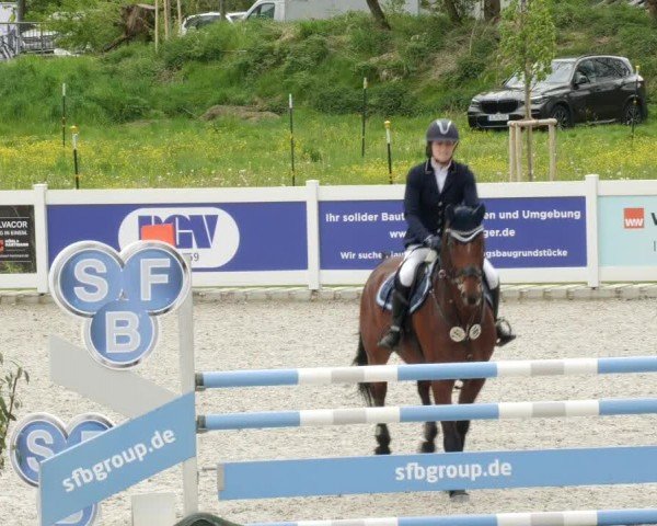 Reitturnier Babenhausen/Schw. 2024