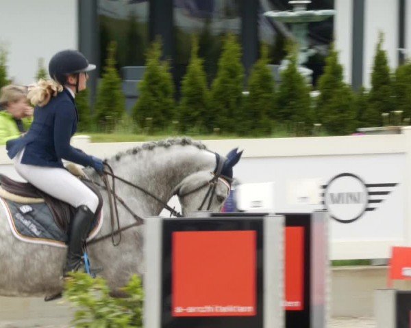 Reitturnier Babenhausen/Schw. 2024
