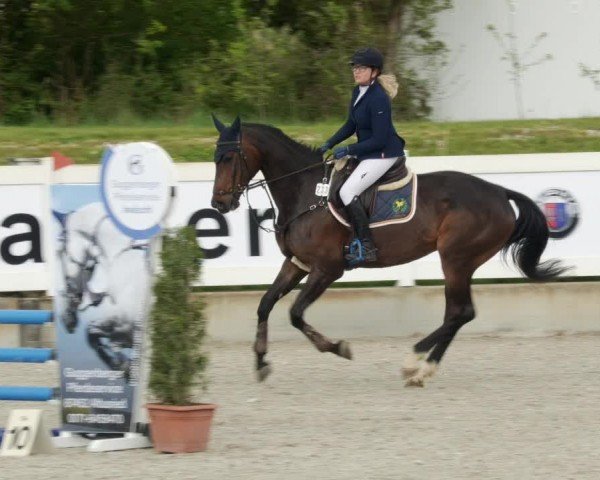 Reitturnier Babenhausen/Schw. 2024
