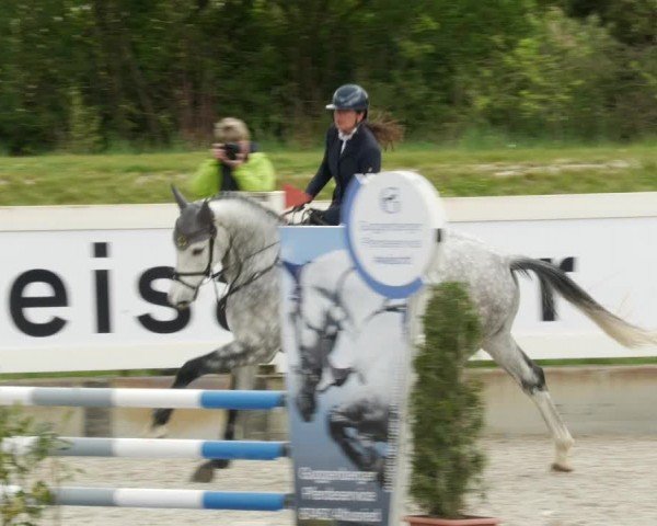 Reitturnier Babenhausen/Schw. 2024