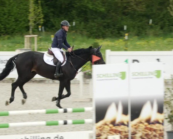 Reitturnier Babenhausen/Schw. 2024