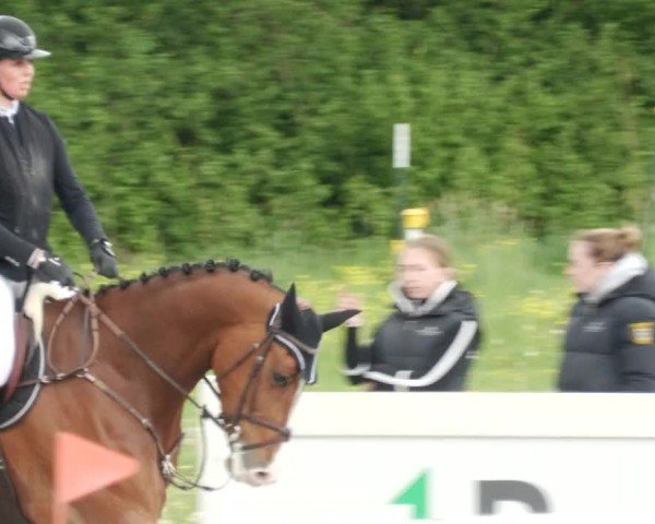 Reitturnier Babenhausen/Schw. 2024