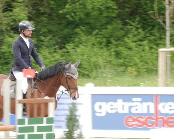 Reitturnier Babenhausen/Schw. 2024