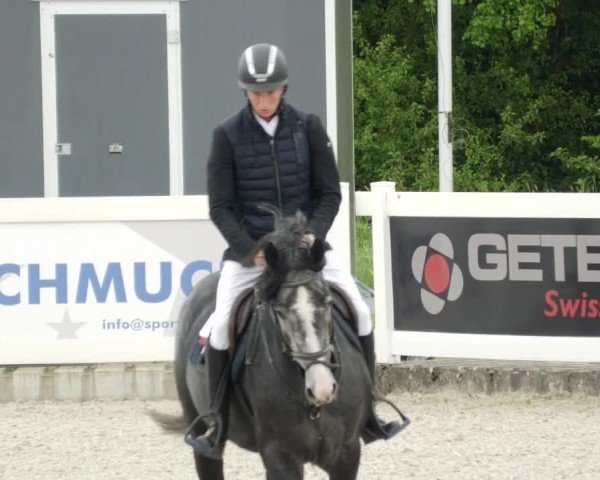 Reitturnier Babenhausen/Schw. 2024