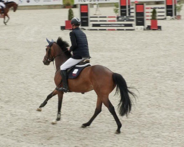 Reitturnier Babenhausen/Schw. 2024