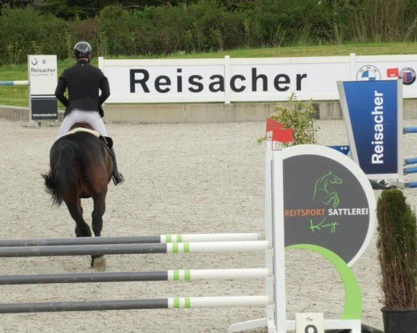 Reitturnier Babenhausen/Schw. 2024