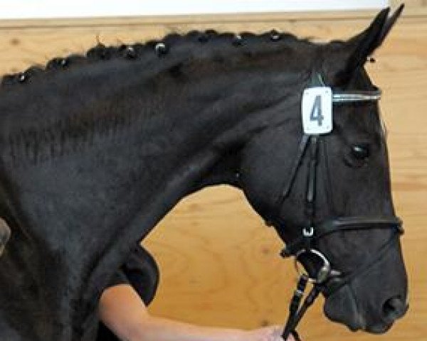 broodmare Grandezza (Bavarian, 2002, from Delacroix Rose)