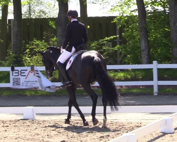 Reitturnier Dressurturnier Mildstedt 2024