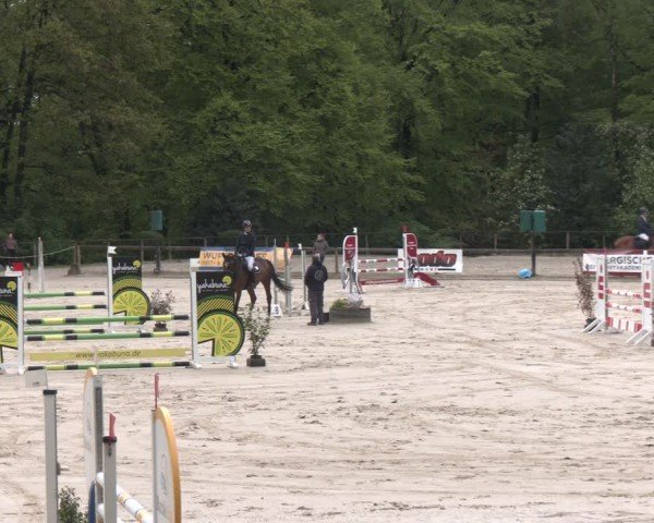 Reitturnier Wuppertal-Gelpe 2024