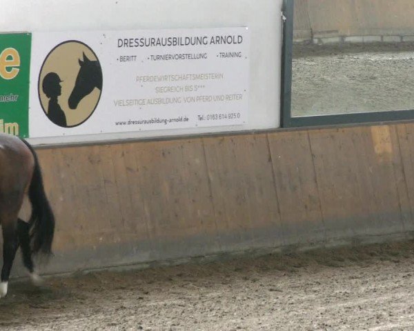 Reitturnier Hildesheim-Steuerwald 2024
