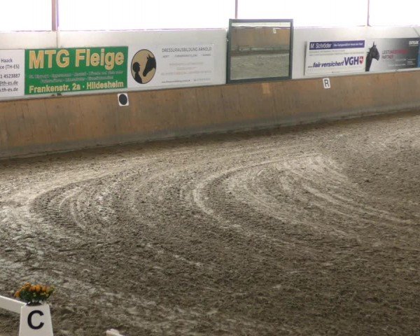 Reitturnier Hildesheim-Steuerwald 2024