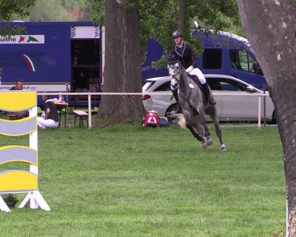 Reitturnier Derenburg 2024