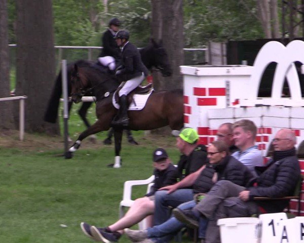 Reitturnier Derenburg 2024
