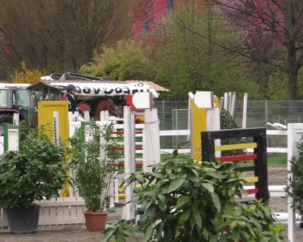 Reitturnier Ranftlhof 2023