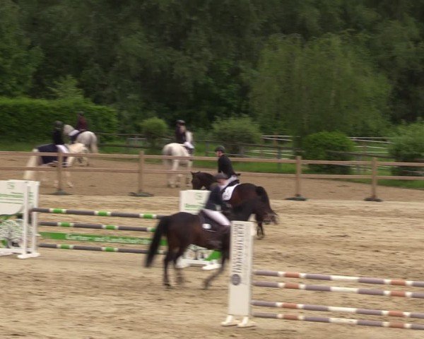 Reitturnier Kamen 2024