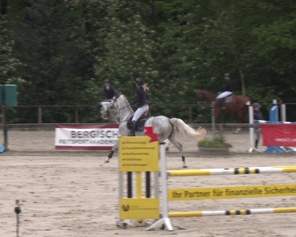 Reitturnier Wuppertal-Gelpe 2024