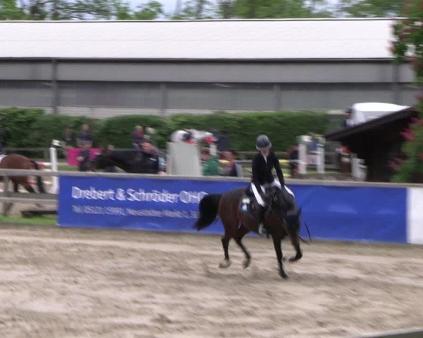 Reitturnier Hildesheim-Steuerwald 2024