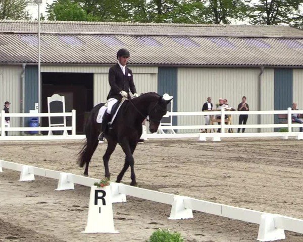 Reitturnier Dressurturnier Mildstedt 2024