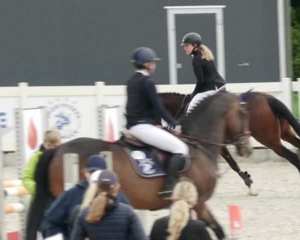 Reitturnier Babenhausen/Schw. 2024