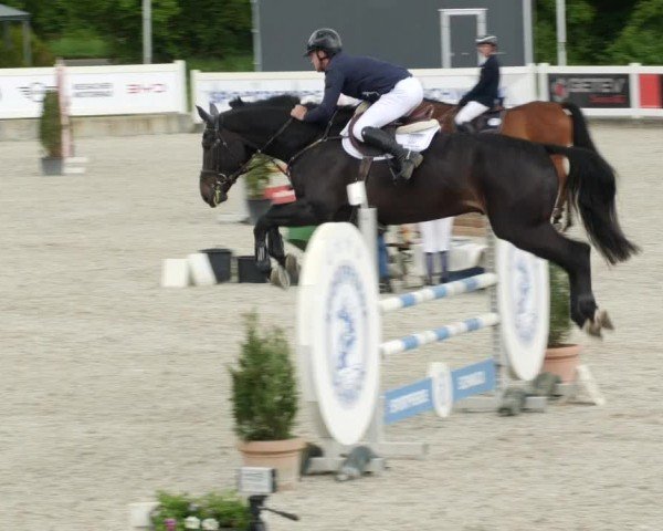 Reitturnier Babenhausen/Schw. 2024