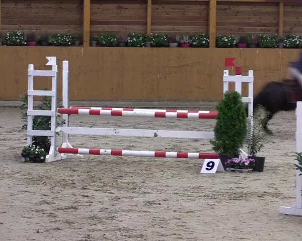Ponyturnier Xanten - Reitanlage Miss 2021