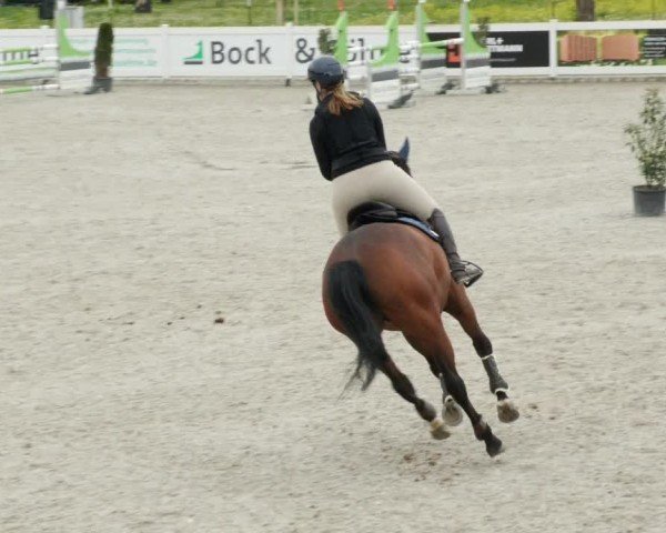 Reitturnier Babenhausen/Schw. 2024