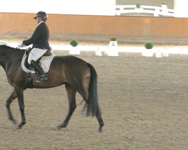 Reitturnier Hildesheim-Steuerwald 2024