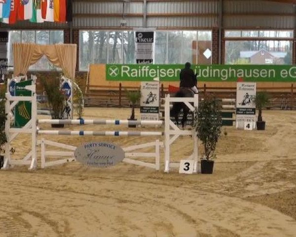 Rosendorf-Classics 2012