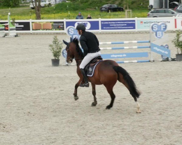 Reitturnier Babenhausen/Schw. 2024