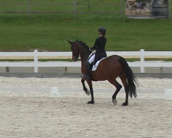 Reitturnier Gut Bohmerhof-Wackersberg/Obb. 2024
