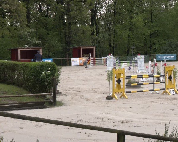 Reitturnier Wuppertal-Gelpe 2024