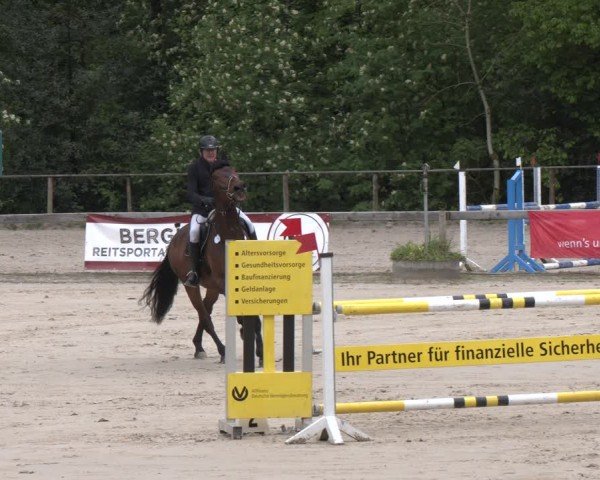 Reitturnier Wuppertal-Gelpe 2024